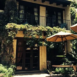Cissus Boutique (adults Only) *** Antigua